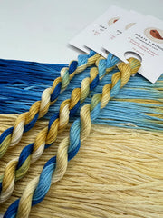 Pirate + Robin Variegated 6 Strand Embroidery Floss - Meadow