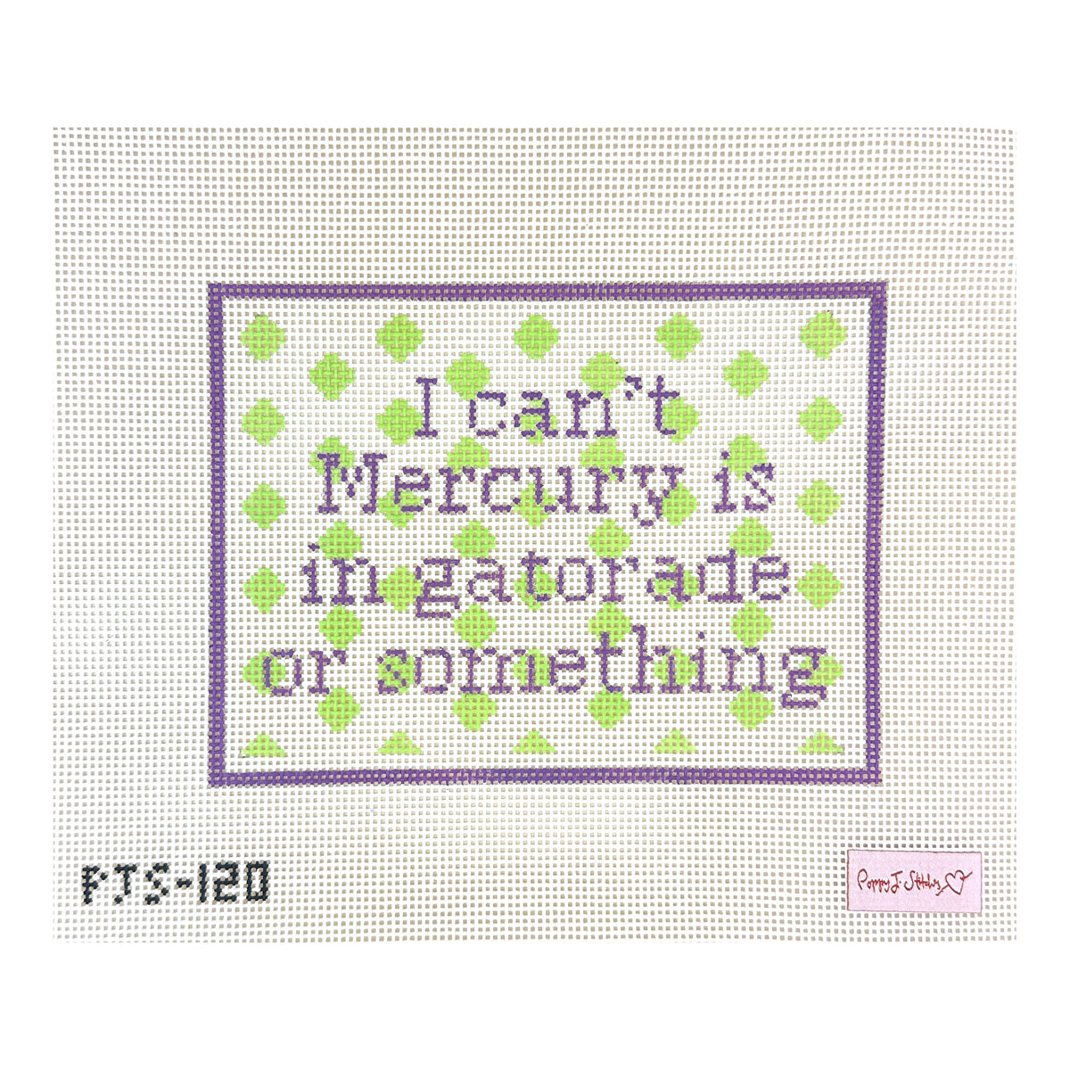 Poppy J Stitches Mercury in Gatorade Needlepoint Canvas