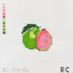 RenniCo Guava Mini Needlepoint Canvas