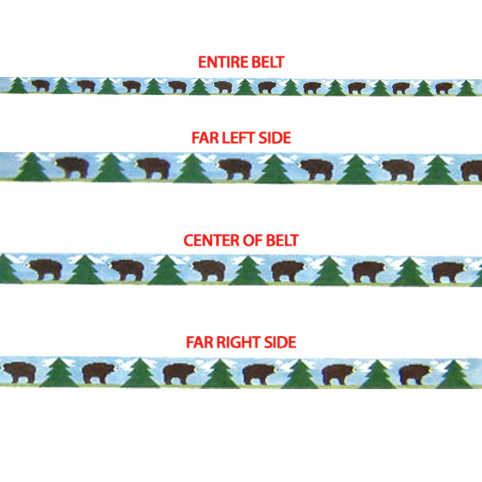 Silver Needle Bear Belt Needlepoint Canvas