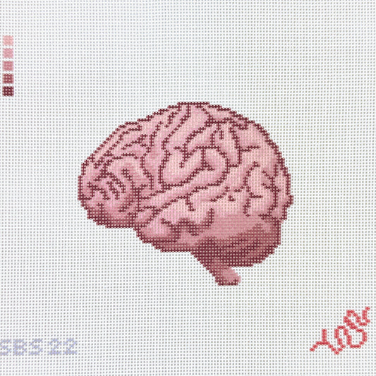 Spellbound Stitchery Anatomical Brain Needlepoint Canvas
