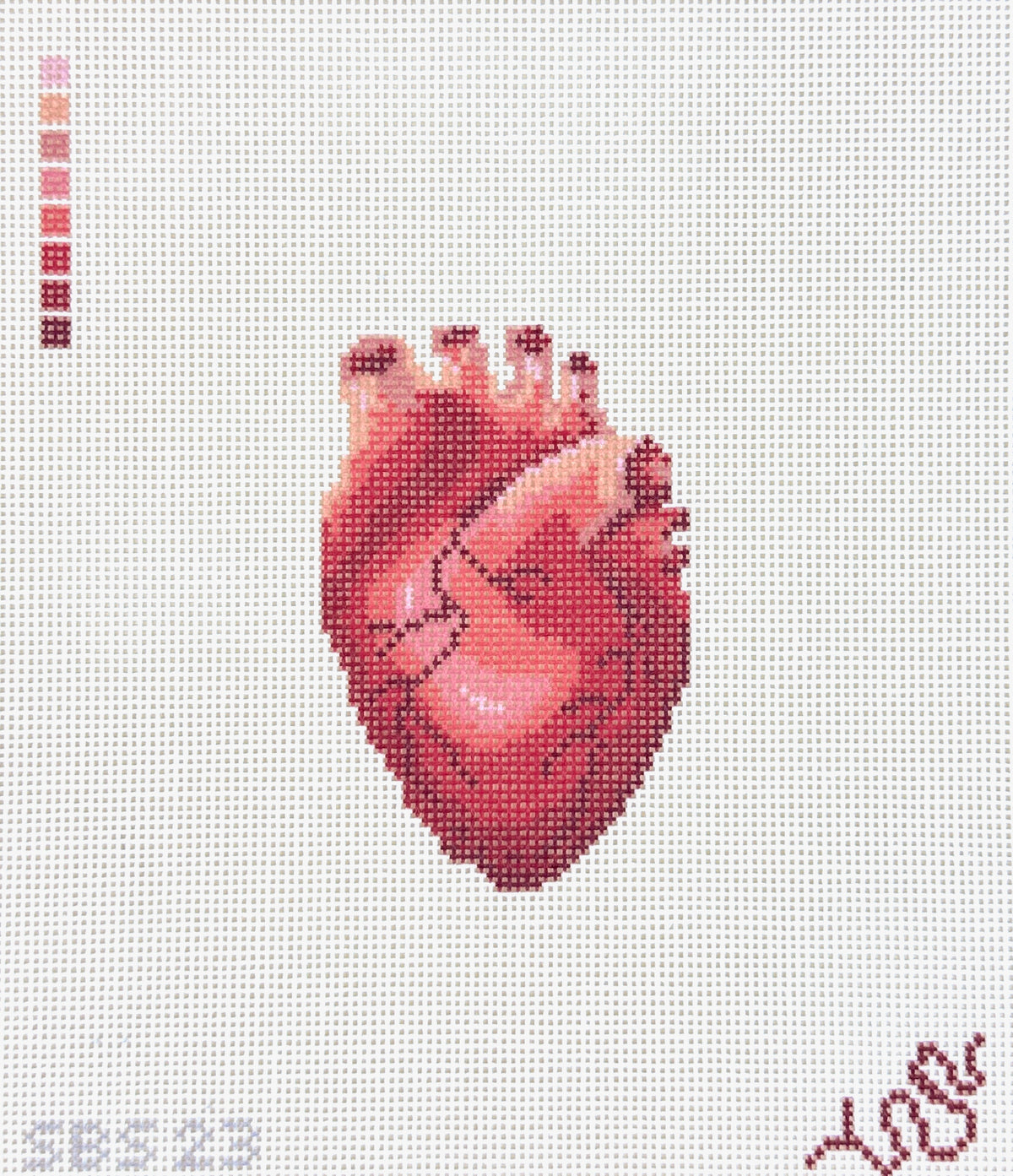Spellbound Stitchery Anatomical Heart Needlepoint Canvas