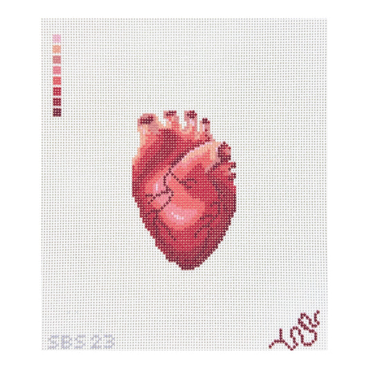 Spellbound Stitchery Anatomical Heart Needlepoint Canvas