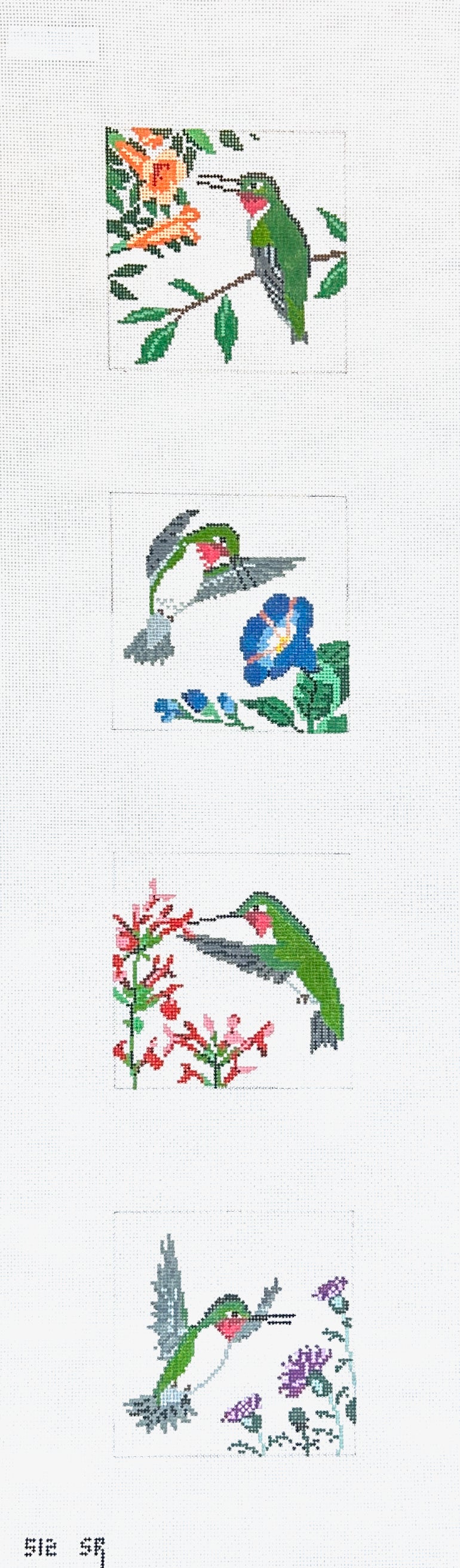 Susan Roberts Needlepoint Hummingbird Coaster Set Needlepoint Canvas