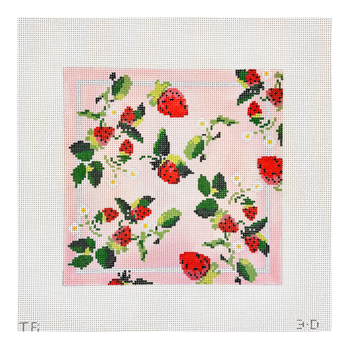 The Plum Stitchery Tara Gill Strawberry Series Pillow Needlepoint Canvas