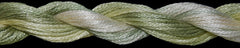 ThreadworX Overdyed Cotton Floss - 1082 Cabbage