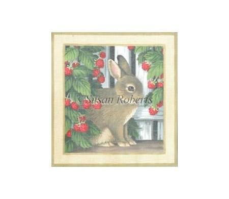 Liz Goodrick-Dillon Bunny In Raspberry Patch Needlepoint Canvas - 18M