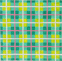 Kate Dickerson Needlepoint Collections Insert Madras Plaid Turquoise Lime Pink and White Specify Letter Or Blank Needlepoint Canvas